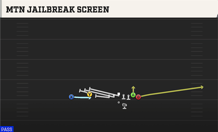 MTN JAILBREAK SCREEN play diagram College Football 27