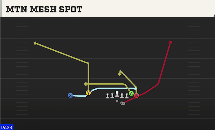 MTN MESH SPOT play diagram College Football 27