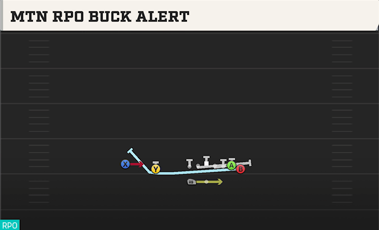 MTN RPO BUCK ALERT play diagram College Football 27