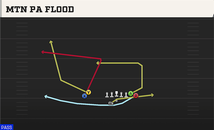 MTN PA FLOOD play diagram College Football 27