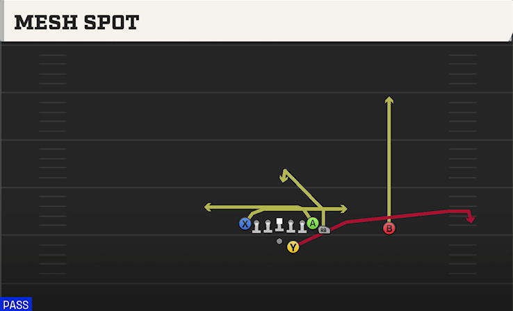 MESH SPOT play diagram College Football 27