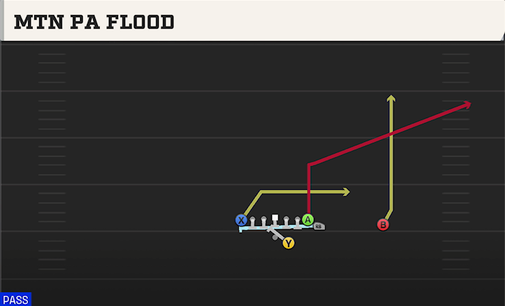 MTN PA FLOOD play diagram College Football 27