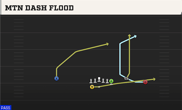 MTN DASH FLOOD play diagram College Football 27