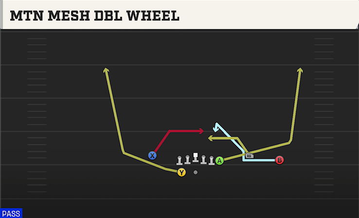 MTN MESH DBL WHEEL play diagram College Football 27