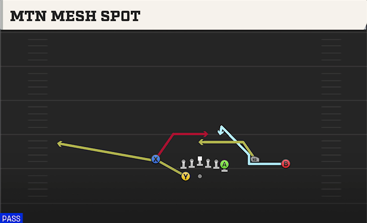 MTN MESH SPOT play diagram College Football 27