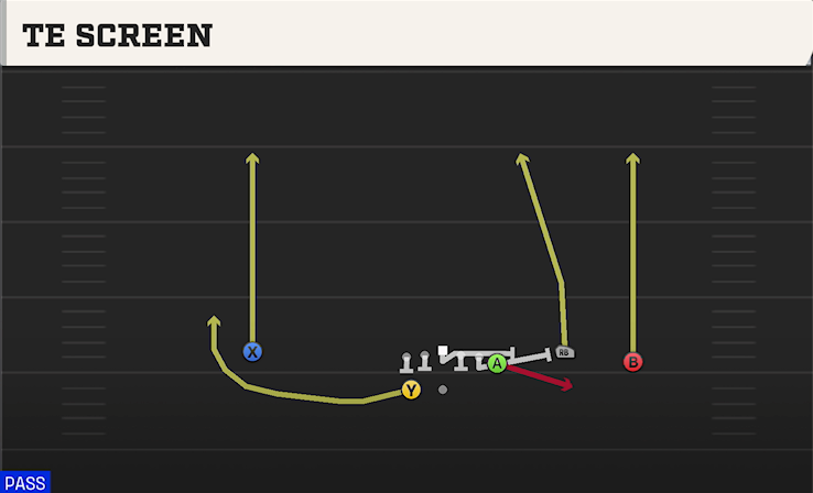 TE SCREEN play diagram College Football 27