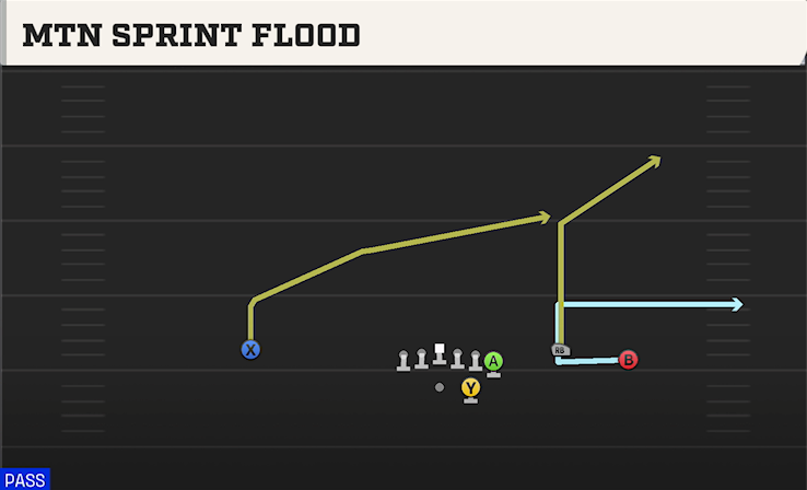 MTN SPRINT FLOOD play diagram College Football 27