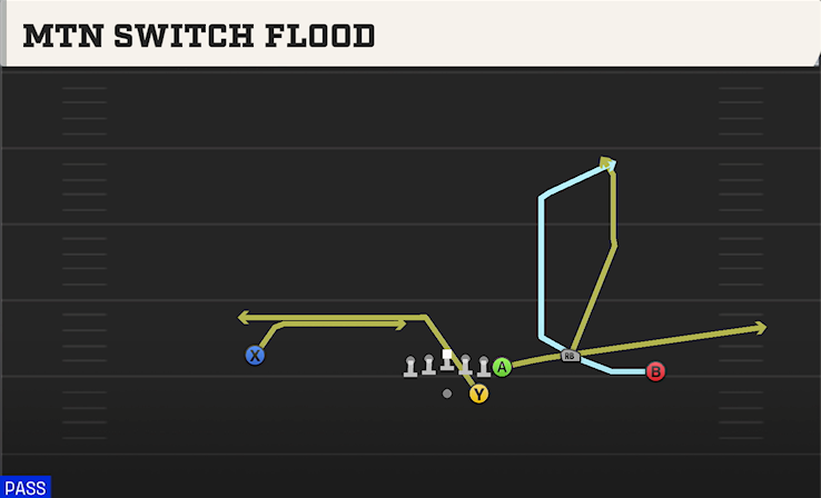 MTN SWITCH FLOOD play diagram College Football 27