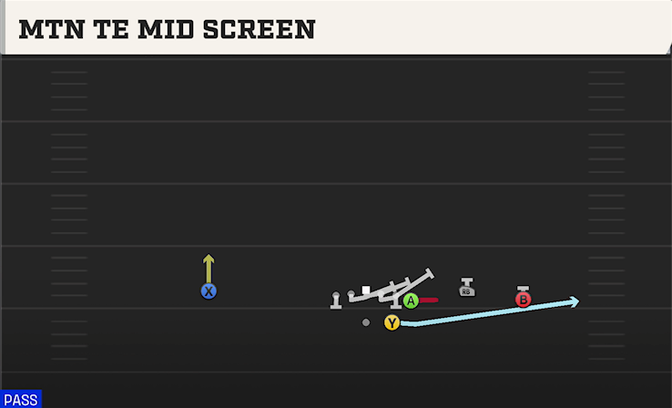 MTN TE MID SCREEN play diagram College Football 27