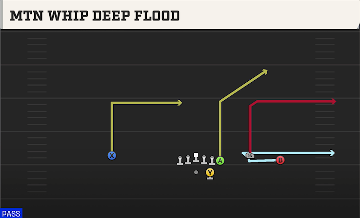 MTN WHIP DEEP FLOOD play diagram College Football 27