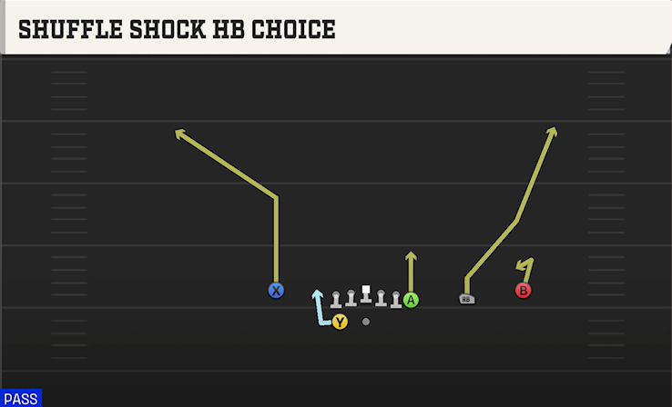 SHUFFLE SHOCK HB CHOICE play diagram College Football 27