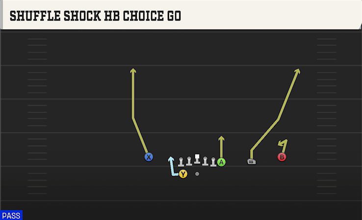 SHUFFLE SHOCK HB CHOICE GO play diagram College Football 27
