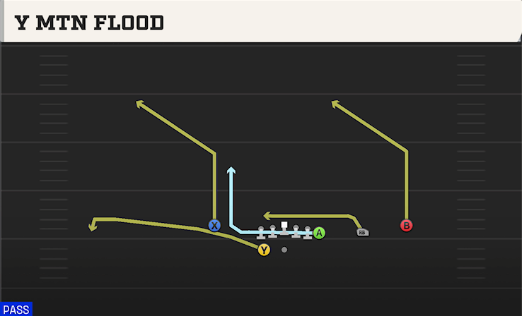 Y MTN FLOOD play diagram College Football 27