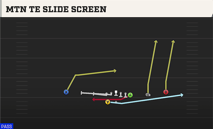 MTN TE SLIDE SCREEN play diagram College Football 27