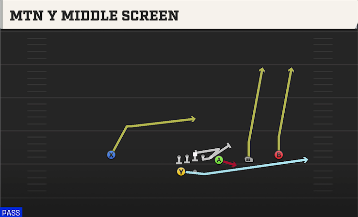 MTN Y MIDDLE SCREEN play diagram College Football 27