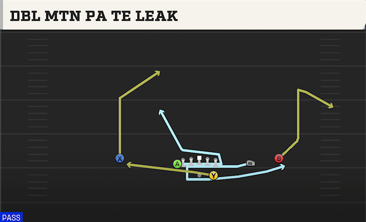DBL MTN PA TE LEAK play diagram College Football 27