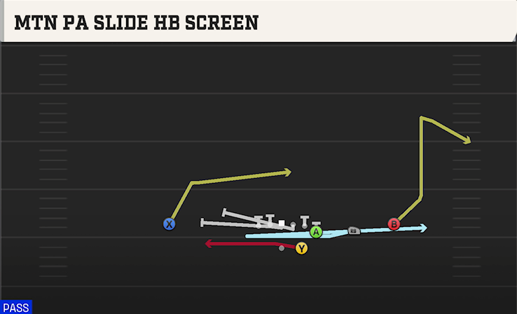MTN PA SLIDE HB SCREEN play diagram College Football 27