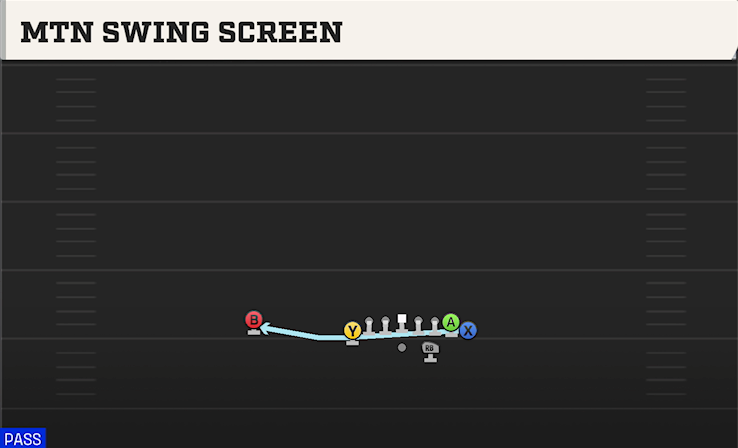 MTN SWING SCREEN play diagram College Football 27