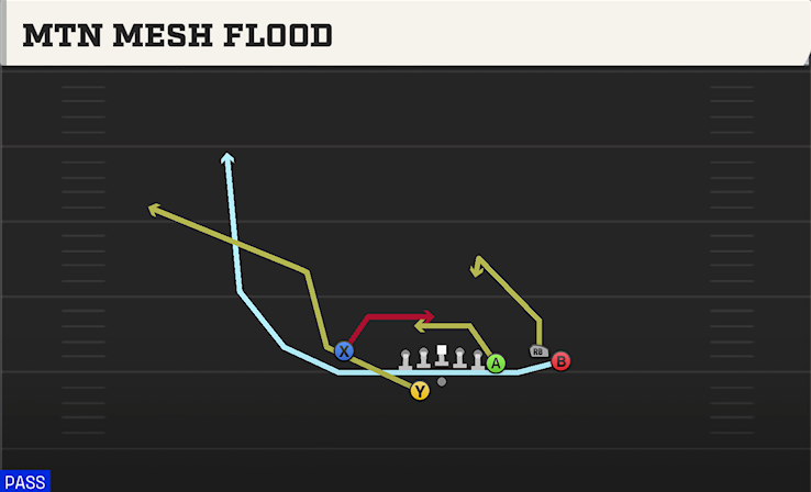 MTN MESH FLOOD play diagram College Football 27