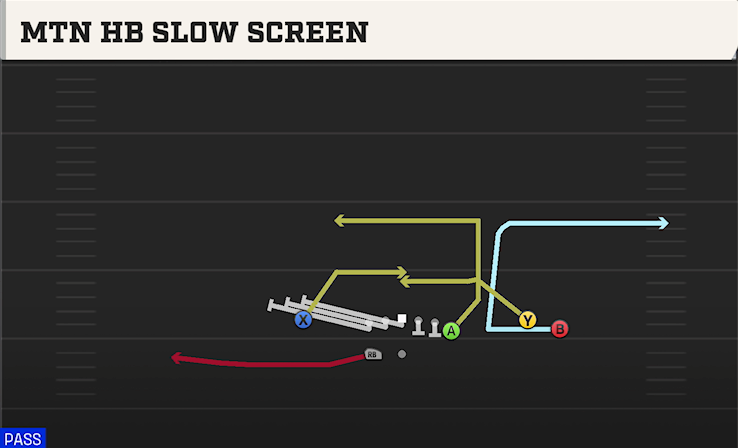 MTN HB SLOW SCREEN play diagram College Football 27