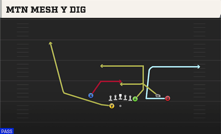 MTN MESH Y DIG play diagram College Football 27