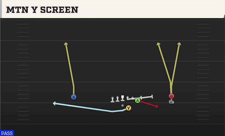MTN Y SCREEN play diagram College Football 27