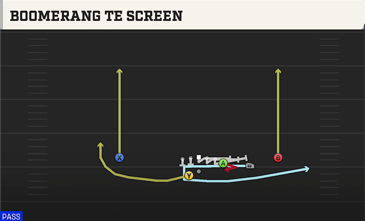 BOOMERANG TE SCREEN play diagram College Football 27