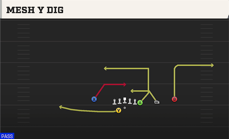 MESH Y DIG play diagram College Football 27