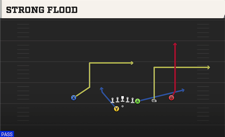 STRONG FLOOD play diagram College Football 27