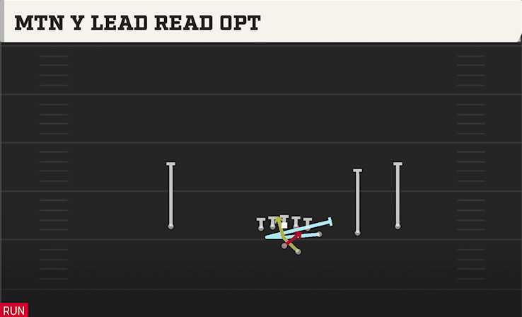 MTN Y LEAD READ OPT play diagram College Football 27