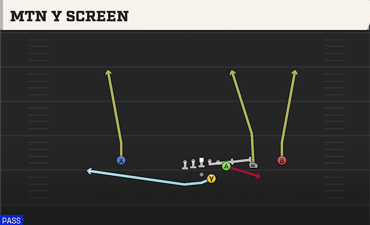 MTN Y SCREEN play diagram College Football 27