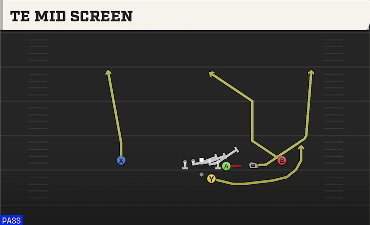 TE MID SCREEN play diagram College Football 27