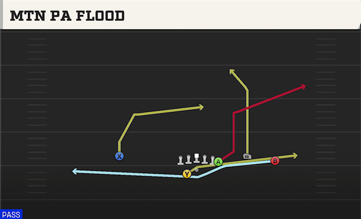 MTN PA FLOOD play diagram College Football 27