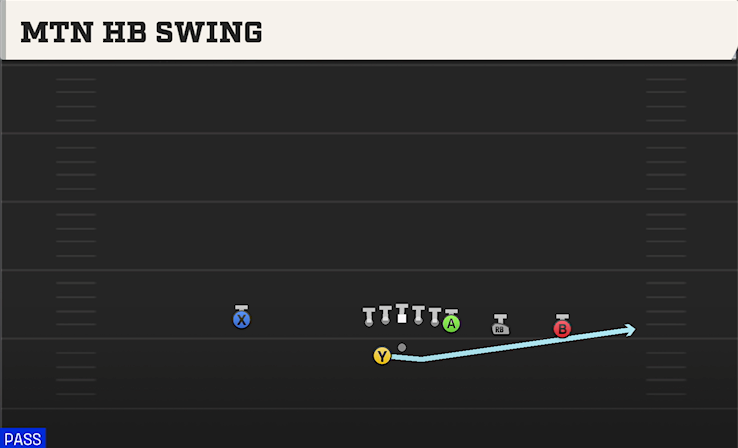 MTN HB SWING play diagram College Football 27