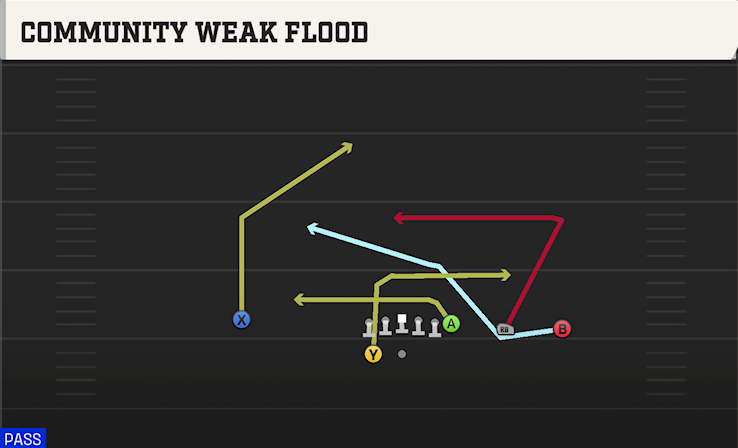 COMMUNITY WEAK FLOOD play diagram College Football 27