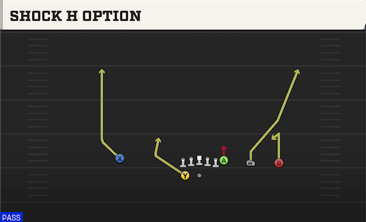 SHOCK H OPTION play diagram College Football 27
