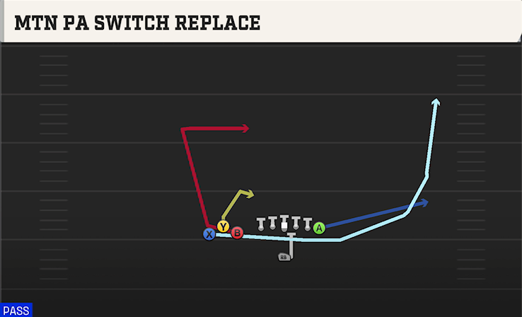 MTN PA SWITCH REPLACE play diagram College Football 27