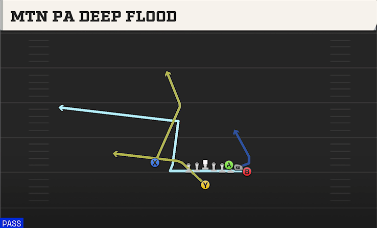 MTN PA DEEP FLOOD play diagram College Football 27