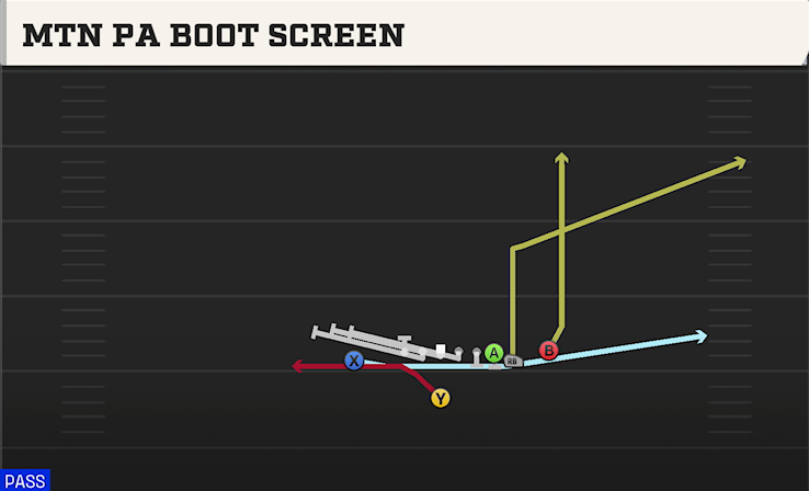 MTN PA BOOT SCREEN play diagram College Football 27