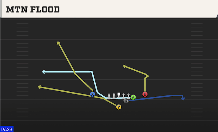 MTN FLOOD play diagram College Football 27