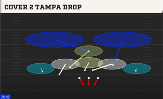 Cover 2 Tampa Drop play art