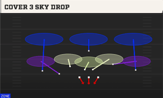Cover 3 Sky Drop play art