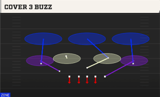 Cover 3 Buzz play art