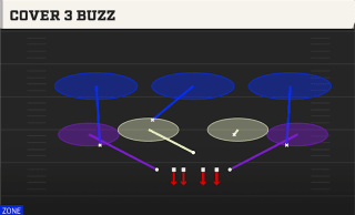Cover 3 Buzz play art