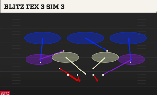 Blitz Tex 3 Sim 3 play art