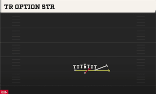 Tr Option STR play art