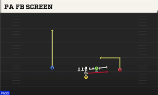 PA FB Screen play art