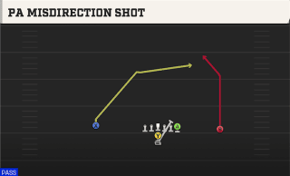 PA Misdirection Shot play art