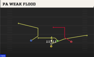 PA Weak Flood play art