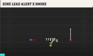 Zone Lead Alert X Smoke play art